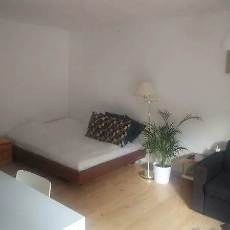 Beautiful In The Greater Apartment